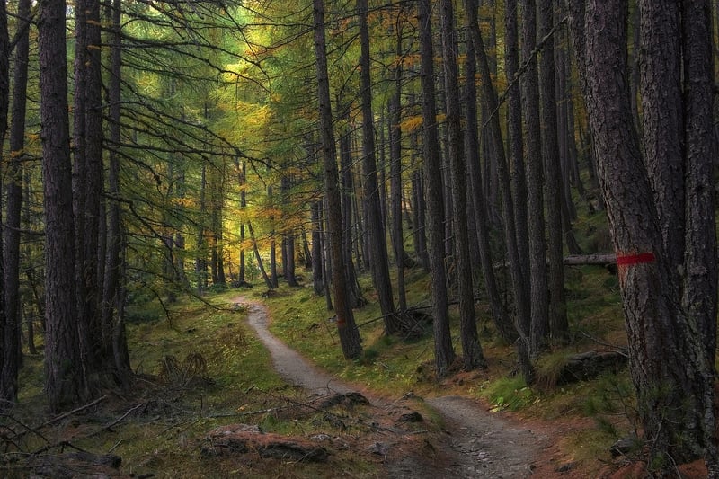 Nature Trail